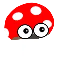 Our mascot, an amanita muscaria